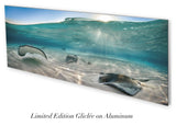 "Afternoon Rays" 18X48      Exhibition Print