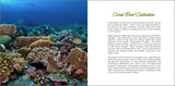 "Coral Reef Collection" PDF