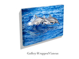 "Spinner Dolphins"