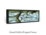 "Atlantic Tarpon"