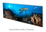 "Discovery" 14X36 Exhibition Print Satin