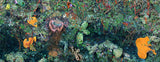 "Great Wall West 2010 Crop2"  26X70