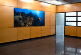 "In Flight" 22X60 Exhibition Print Satin