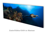 "In Flight" 22X60 Exhibition Print Satin