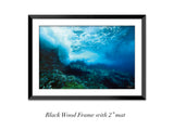 "Bluff Scenic 2"
