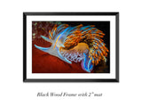 "Flame-tipped Nudibranch"