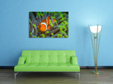 "Nemo Found"
