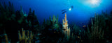 "Magic Kingdom" 14X36 Limited Edition Satin