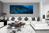 "Midnight Reef" 18X48 Exhibition Print Satin