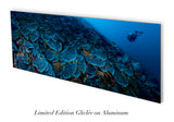 "Midnight Reef" 18X48 Exhibition Print Satin