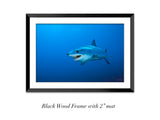 "Mako"