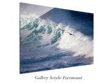 "Pelican Wave"