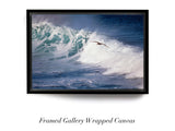 "Pelican Wave"