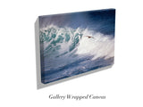 "Pelican Wave"