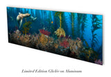 "San Clemente Sea Lions" 18X48 Limited Edition  **SOLD**