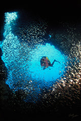 "Marsa Bereva"