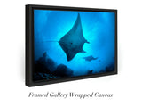 "Mantas in Silhouette"