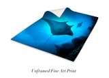 "Mantas in Silhouette"