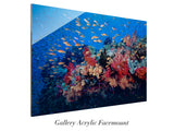 "Reef Beauty"